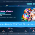 Betnis535 giriş